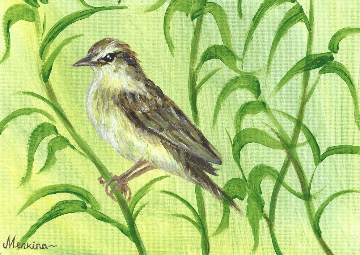 Painting of a bird in rivercane.